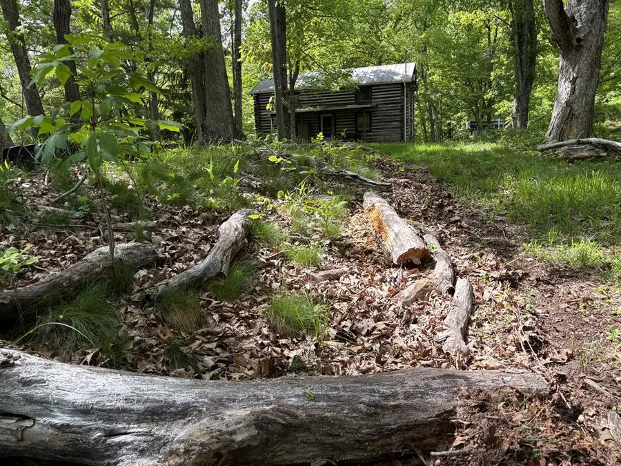 307 Shale Bank Road, Marion, VA 24354 - #2