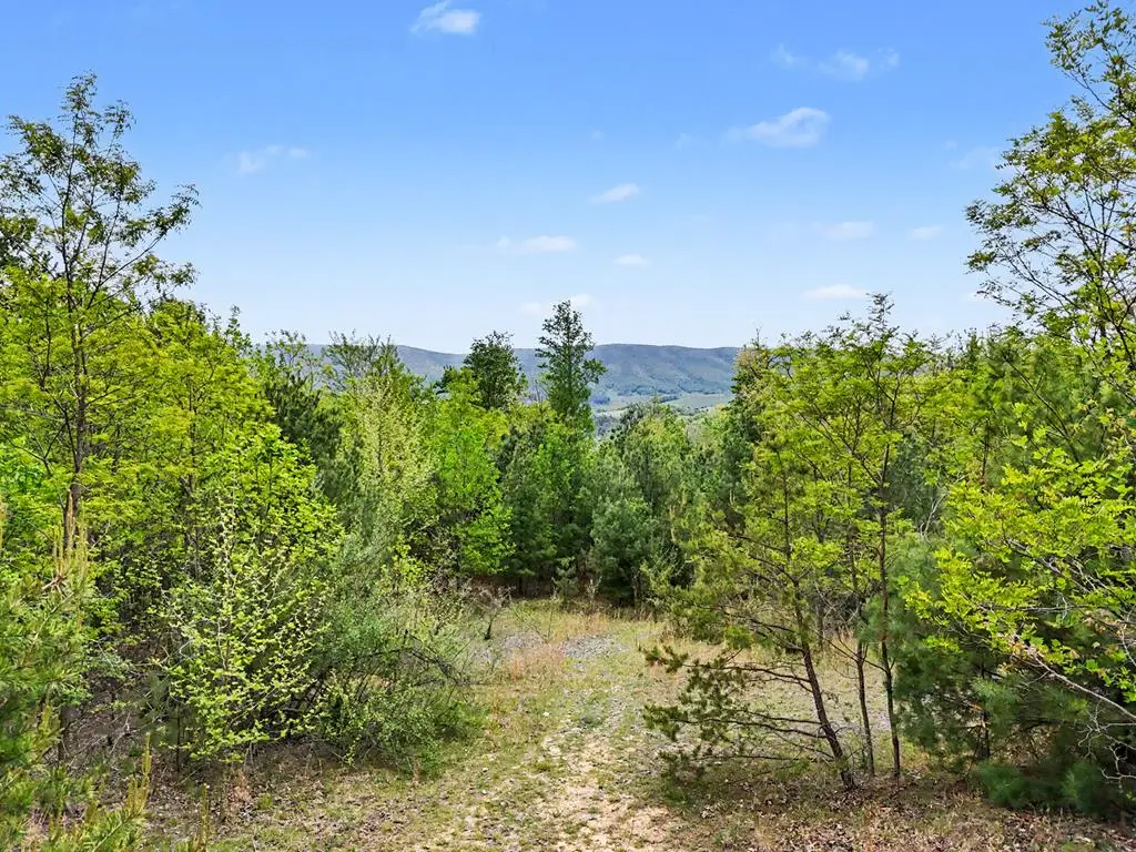 TBD High Chaparral Lane, Bland, VA 24315 - #1