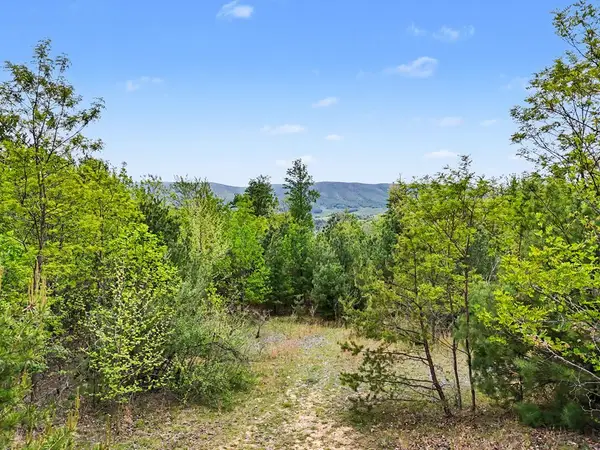 TBD High Chaparral Lane, Bland, VA 24315