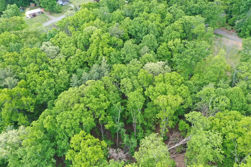 TBD Amelia Lane, Hillsville, VA 24343 - #1
