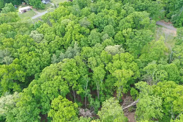 TBD Amelia Lane, Hillsville, VA 24343