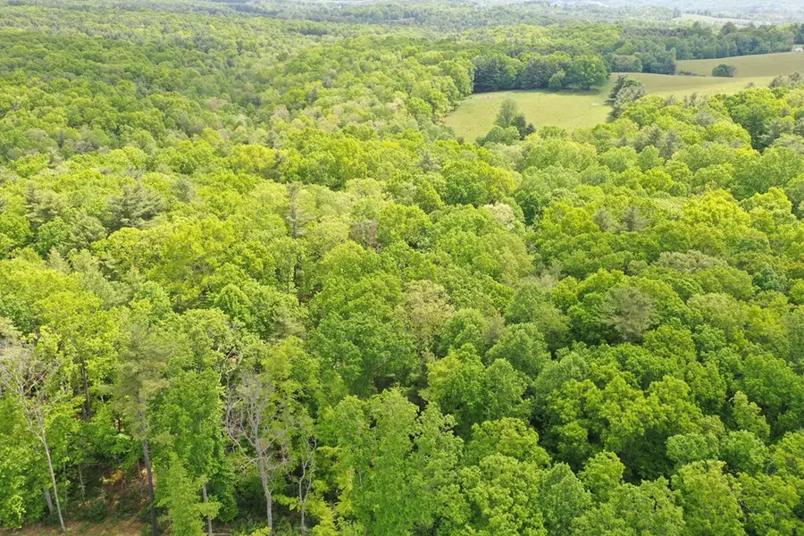 TBD Amelia Lane, Hillsville, VA 24343 - #2