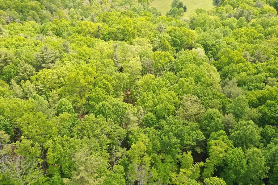TBD Amelia Lane, Hillsville, VA 24343 - #3