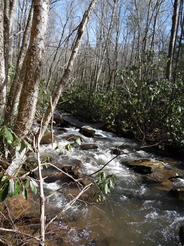 TBD Ripshin Rd, Troutdale, VA 24378 - #1
