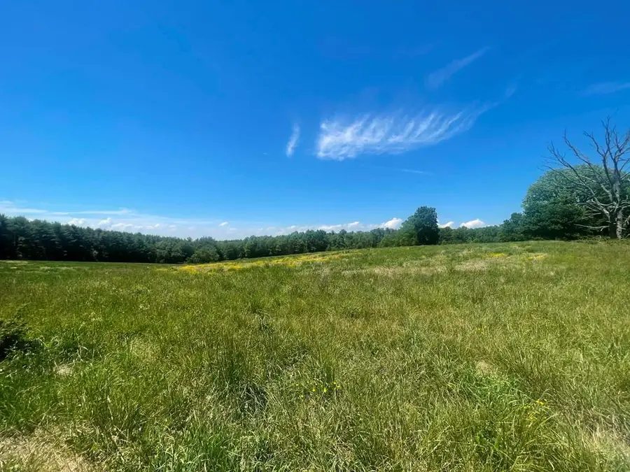 TBD Bellspur Road, Laurel Fork, VA 24352 - #2