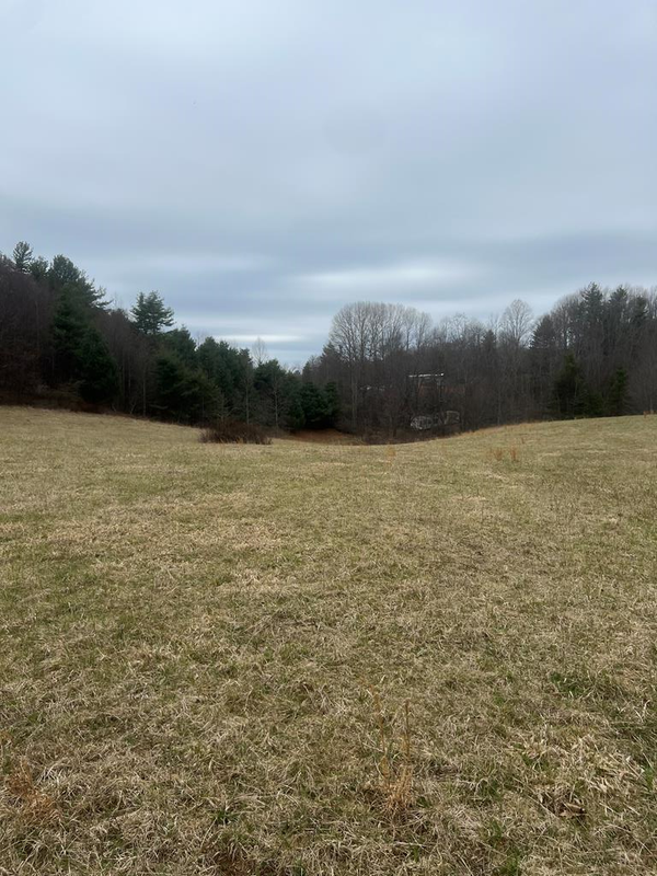 299 Red Ford Rd, Meadows of Dan, VA 24120