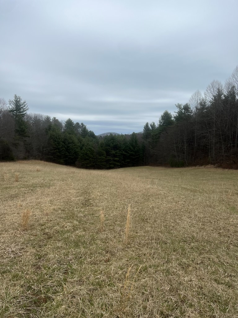 299 Red Ford Rd, Meadows Of Dan, VA 24120 - #3