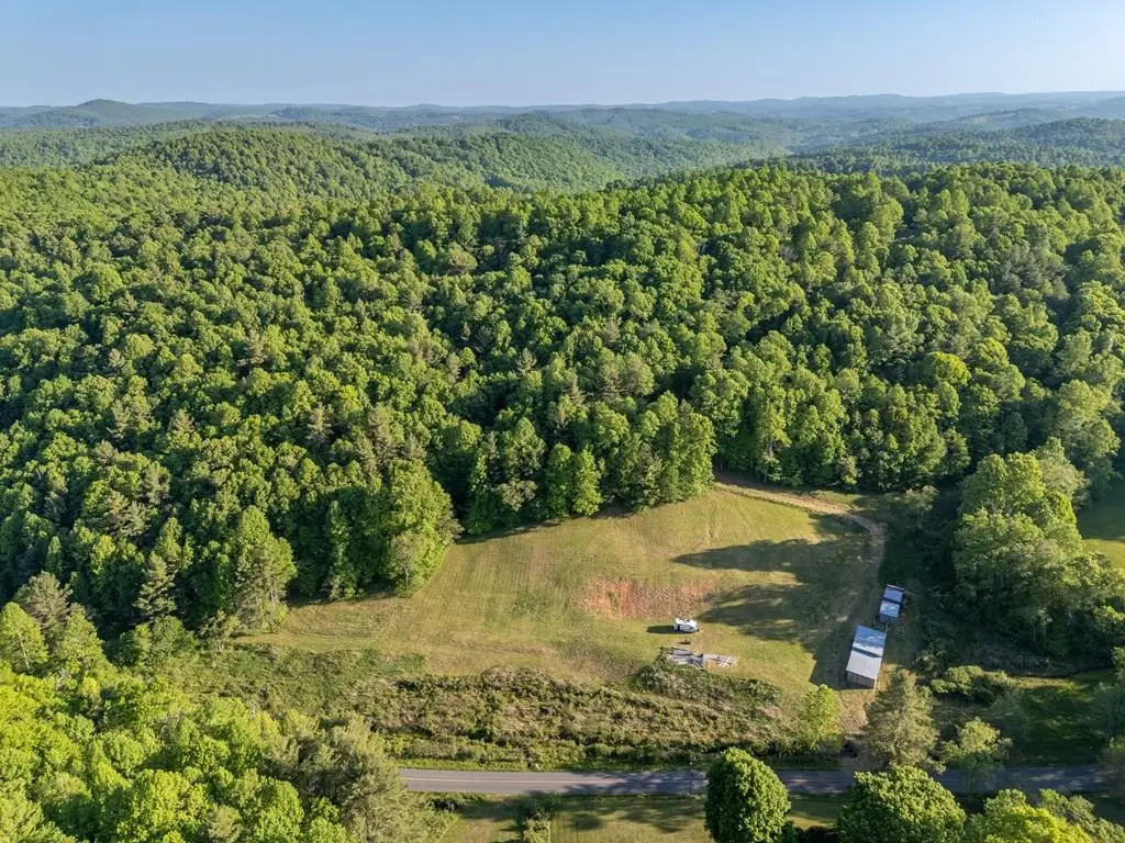 65 ac Dugspur Rd, Dugspur, VA 24325 - #1
