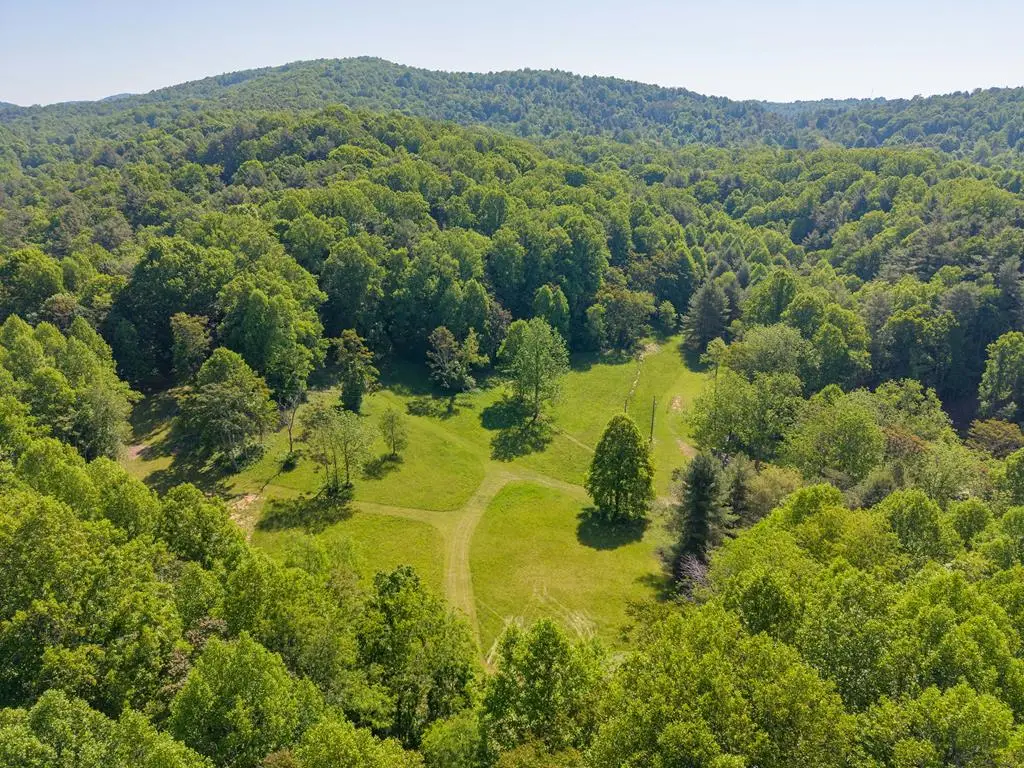 8730 Lee Dr NE, Copper Hill, VA 24079 - #1