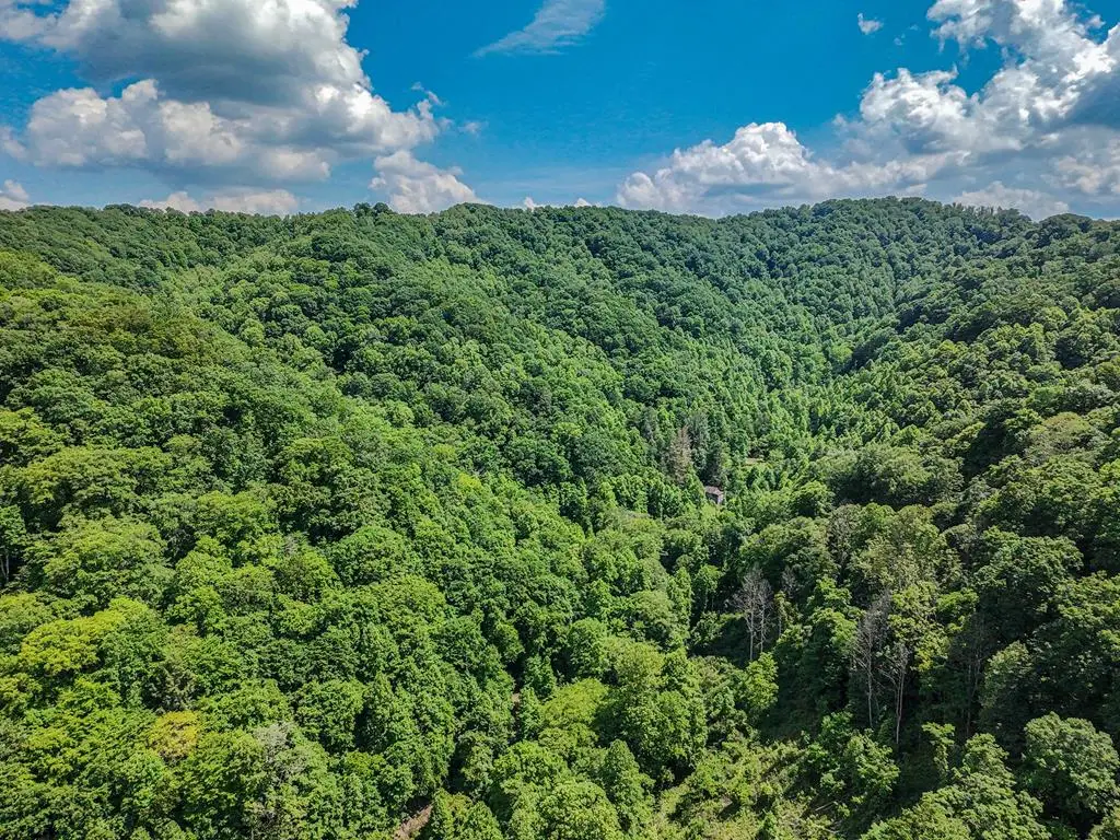 TBD Osborne Branch Road, Grundy, VA 24614 - #1
