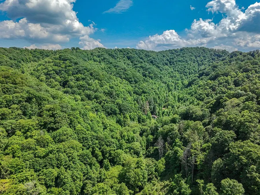 TBD Osborne Branch Road, Grundy, VA 24614 - #3