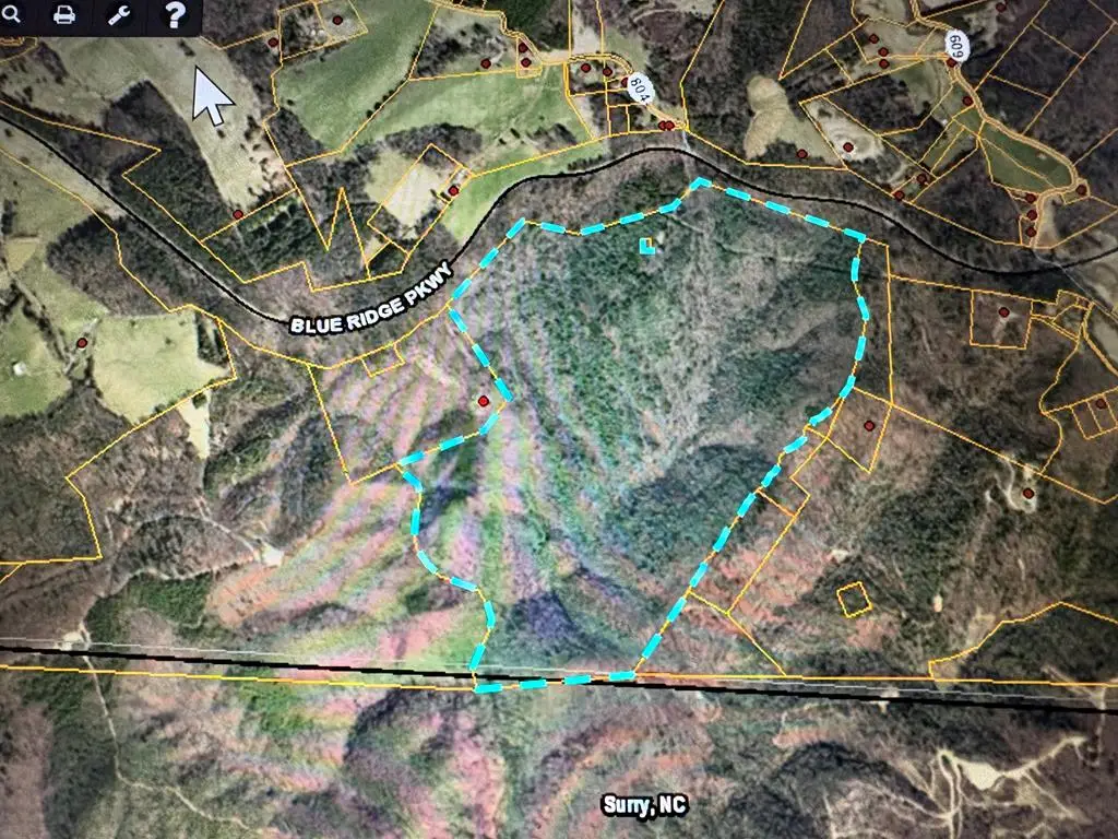 TBD Blue Ridge Parkway, Galax, VA 24333 - #1