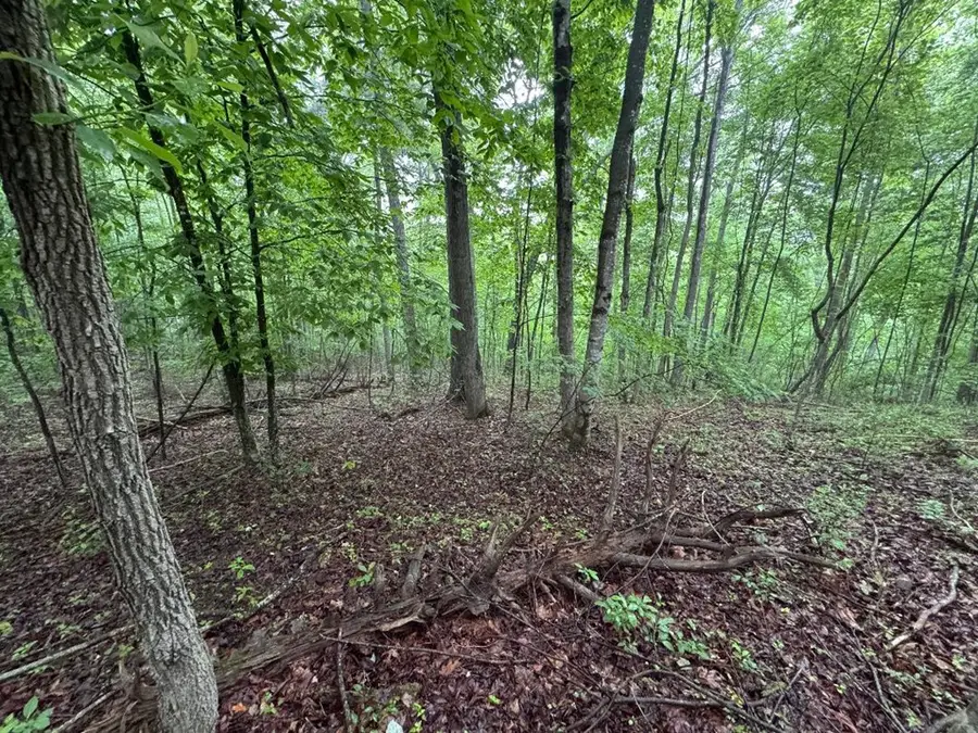 TBD Fancy Gap Hwy., Hillsville, VA 24343 - #3