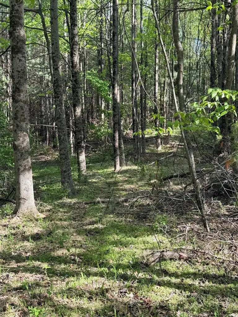TBD Lambsburg Road, Galax, VA 24333 - #1
