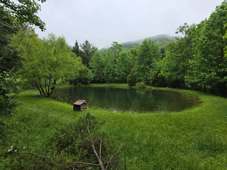 489 Broadway Road, Wytheville, VA 24382 - #2