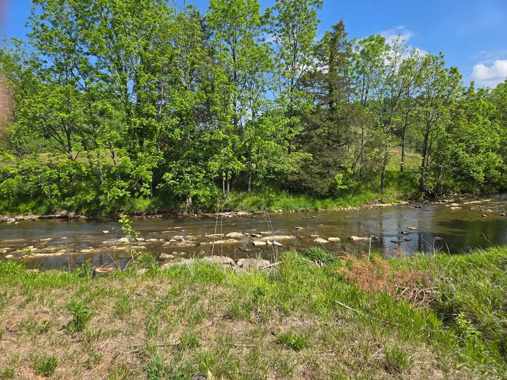 TBD BIG CEDAR CREEK ROAD, Lebanon, VA 24266 - #1