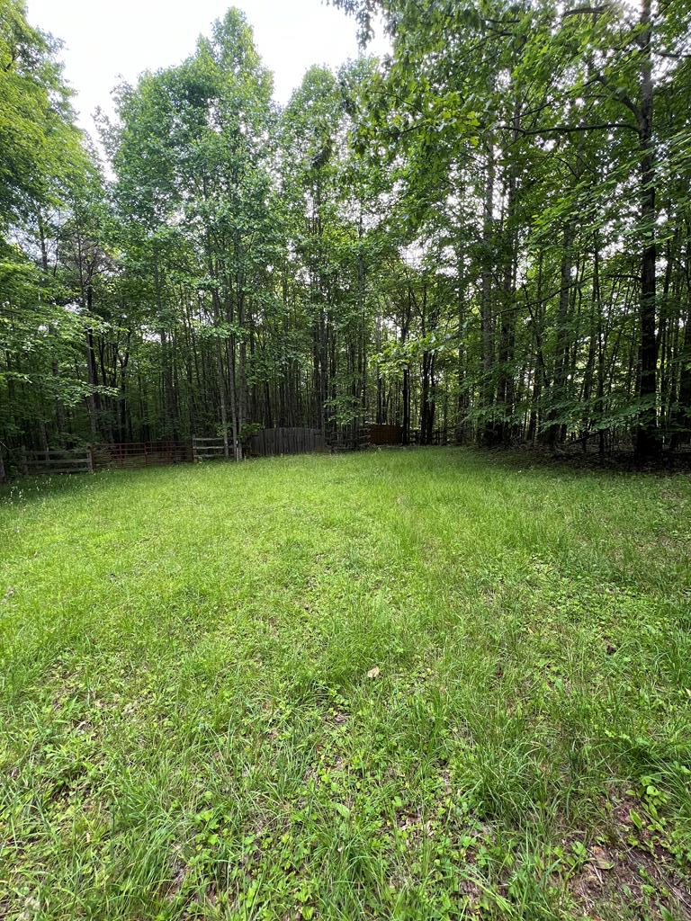 TBD High Mountain Trail, Laurel Fork, VA 24352 - #1