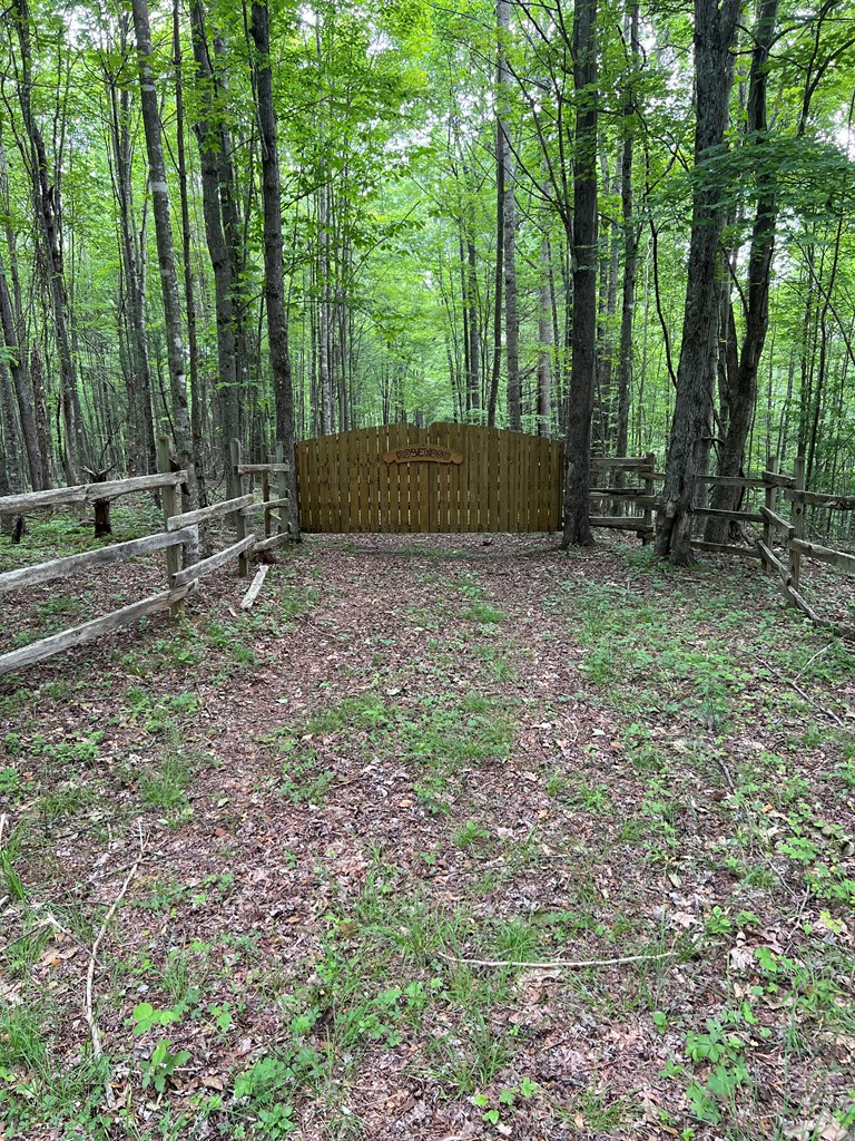 TBD High Mountain Trail, Laurel Fork, VA 24352 - #2