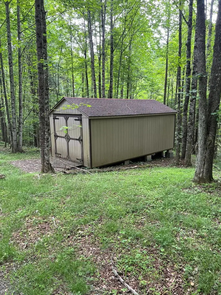 TBD High Mountain Trail, Laurel Fork, VA 24352 - #3