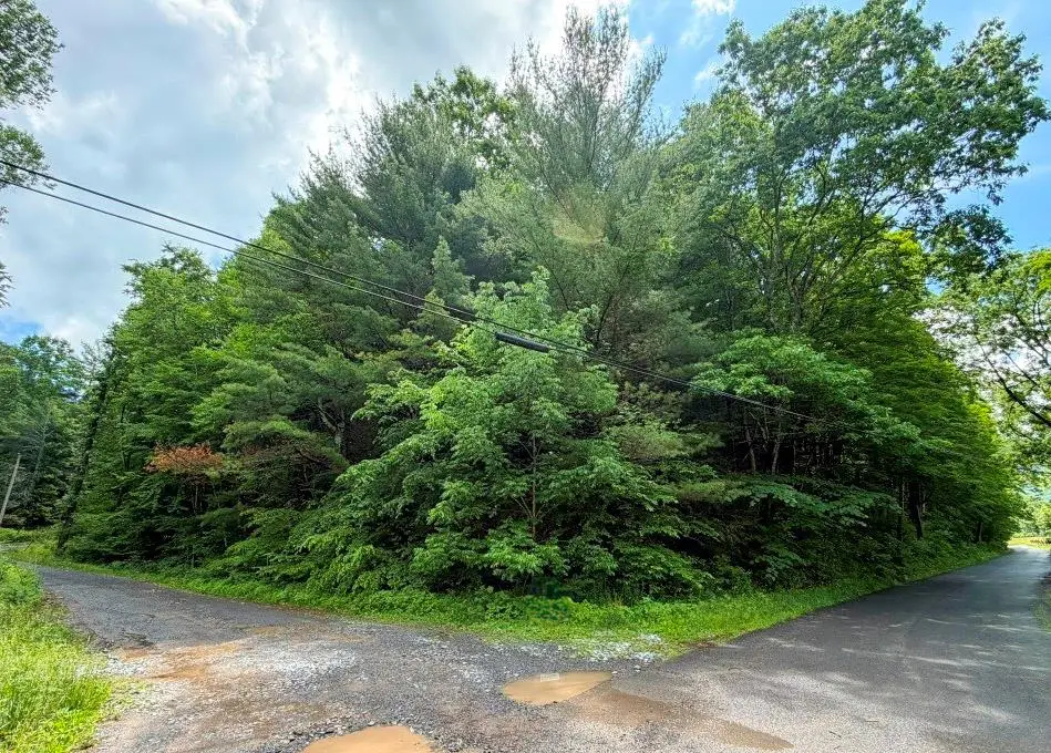 TBD Doubletree Drive, Chilhowie, VA 24319 - #1