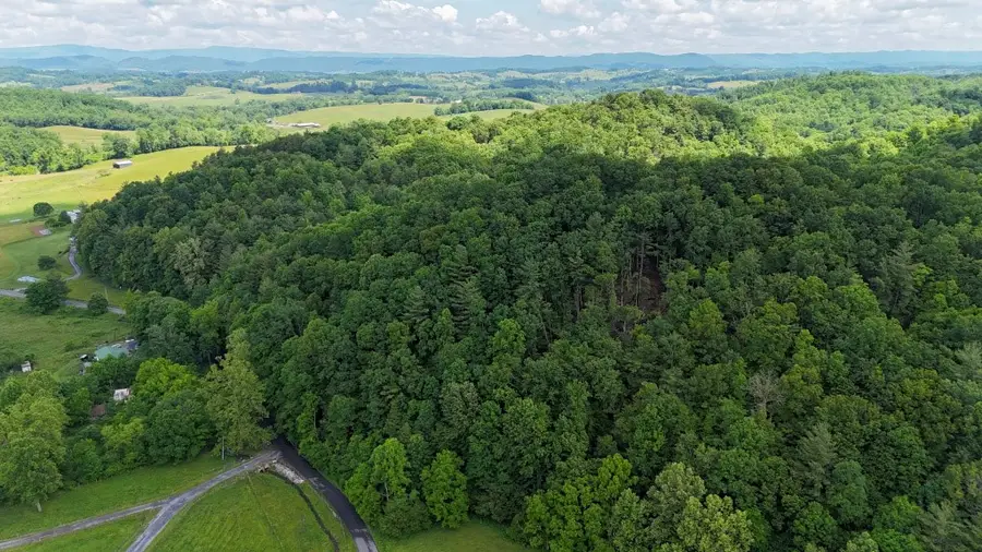 TBD Doubletree Drive, Chilhowie, VA 24319 - #3