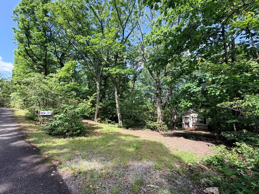 728 Groundhog Hills Rd, Hillsville, VA 24343 - #2