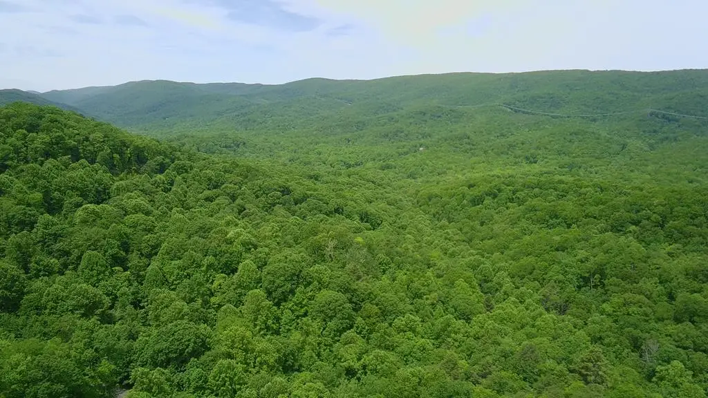 Lot 15 Cove Creek, Bastian, VA 24314 - #1