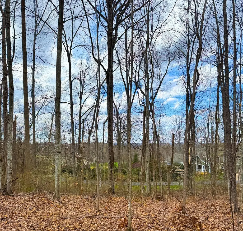 TBD Stonewall Rdg, Bristol, VA 24202 - #1