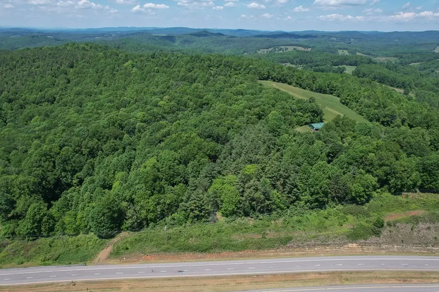 TBD Danville Pike, Laurel Fork, VA 24352 - #2