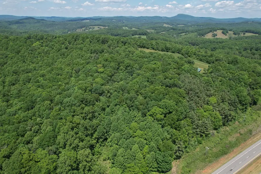 TBD Danville Pike, Laurel Fork, VA 24352 - #3