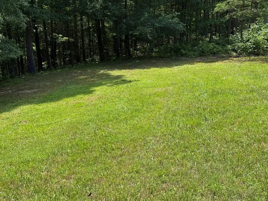 LOT 43 New River Oaks, Austinville, VA 24312 - #1