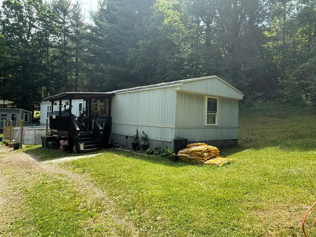 8202 Ivanhoe Road, Ivanhoe, VA 24350 - #1