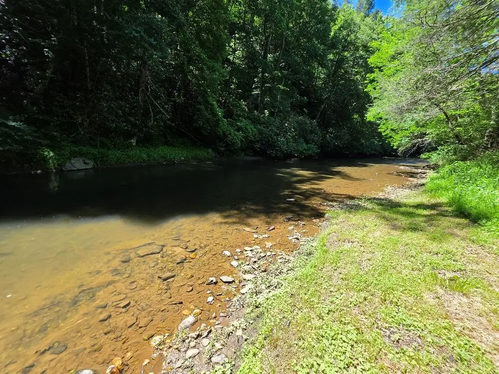 3858 Scratch Gravel Rd, Austinville, VA 24312 - #1