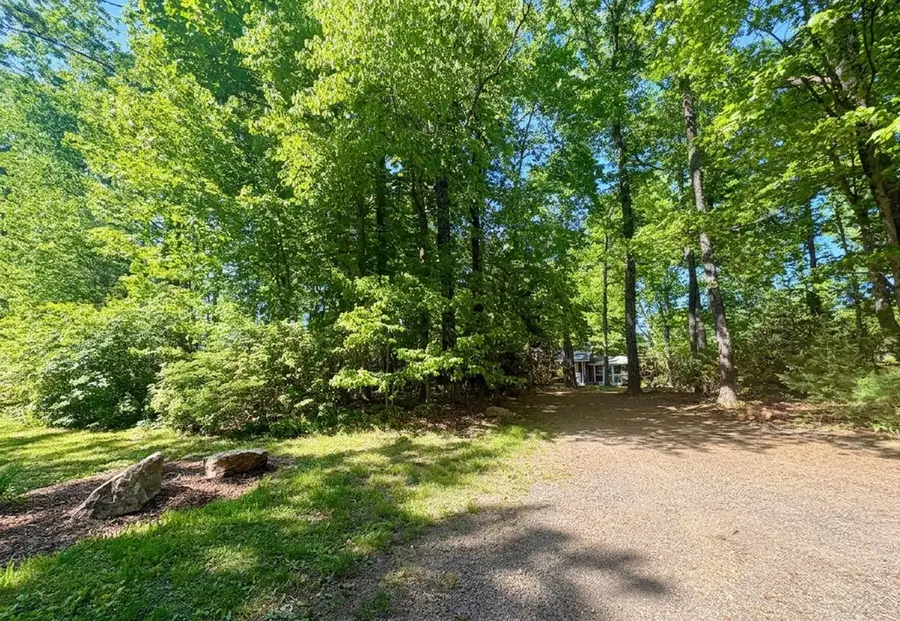 324 Spring Branch Rd, Fancy Gap, VA 24328 - #2