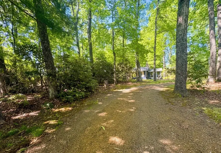 324 Spring Branch Rd, Fancy Gap, VA 24328 - #3