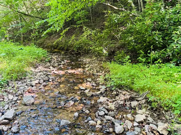 TBD Pleasant View Road, Austinville, VA 24312