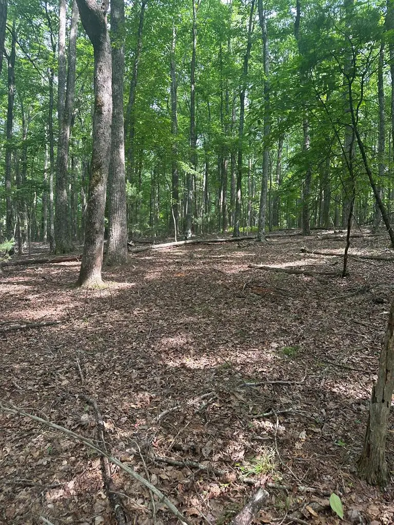 TBD Forest Green Dr, Galax, VA 24333 - #1