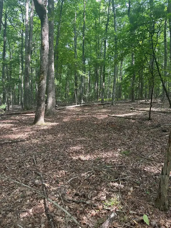 TBD Forest Green Dr, Galax, VA 24333