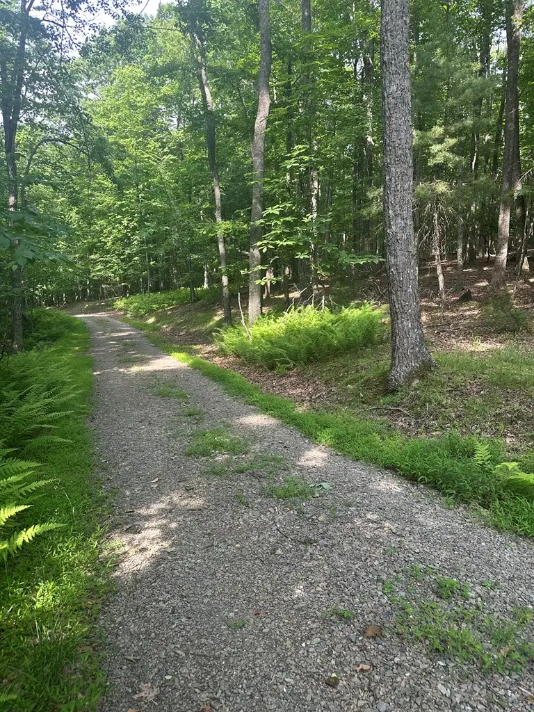 TBD Forest Green Dr, Galax, VA 24333 - #2
