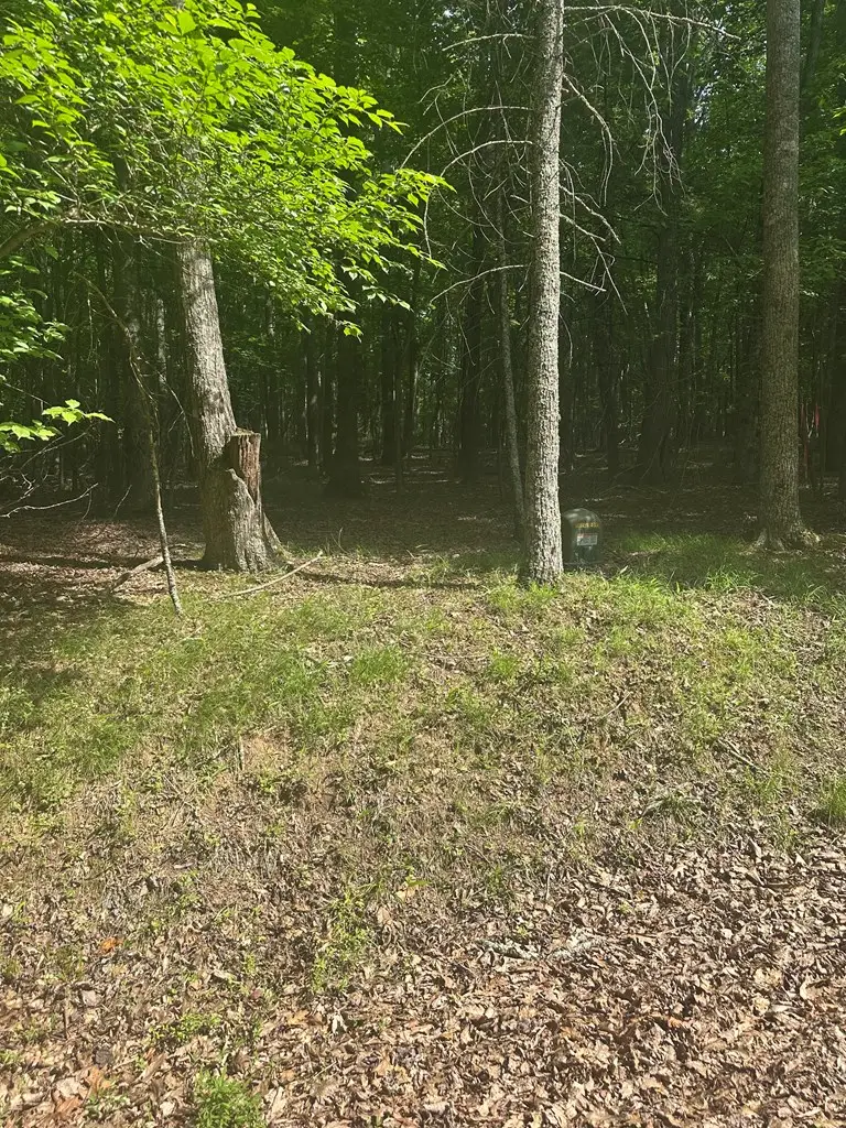 TBD Forest Green Dr, Galax, VA 24333 - #3