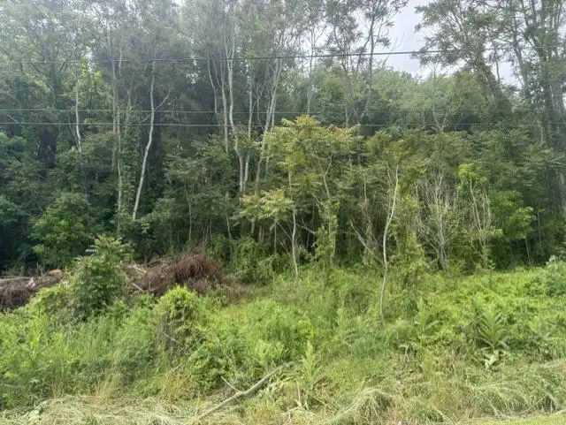 TBD Whispering Pines Rd., Max Meadows, VA 24360 - #2