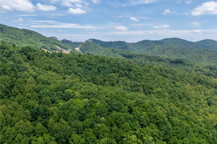 72 Acres Trot Valley Rd, Stuart, VA 24171 - #3