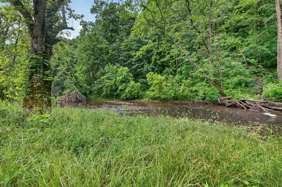 TBD River Mountain Road, Lebanon, VA 24266 - #3