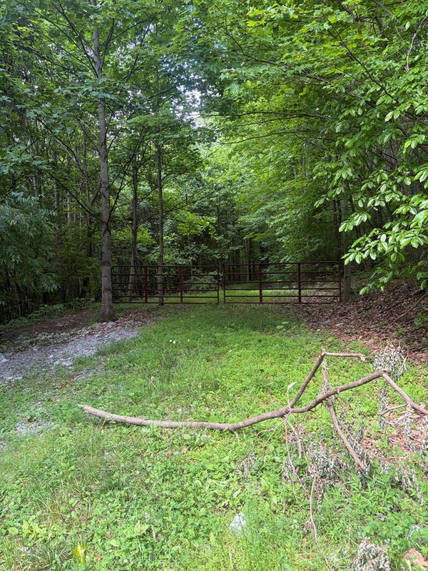 TBD Dark Hollow Road, North Tazewell, VA 24630