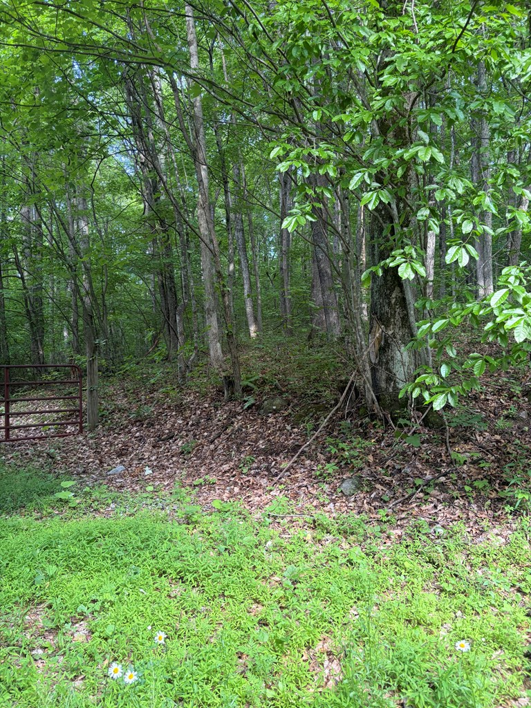 TBD Dark Hollow Road, North Tazewell, VA 24630 - #3