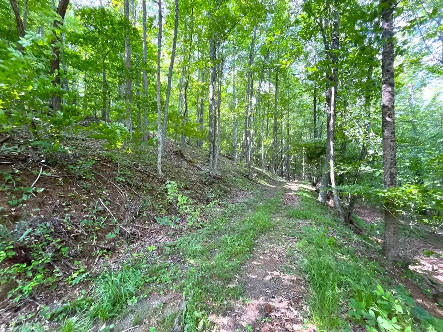76 Captains Gate, Dugspur, VA 24325 - #3