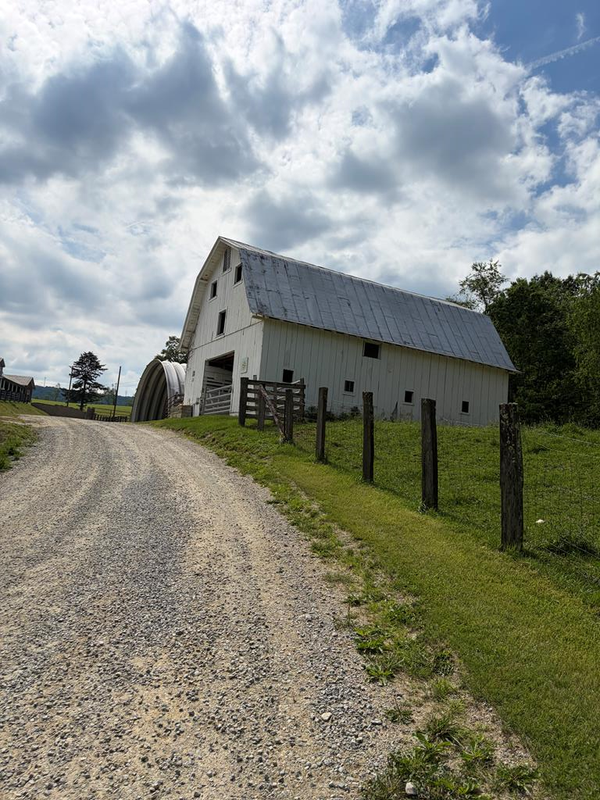 TBD Roberts Cove Road, Troutdale, VA 24378