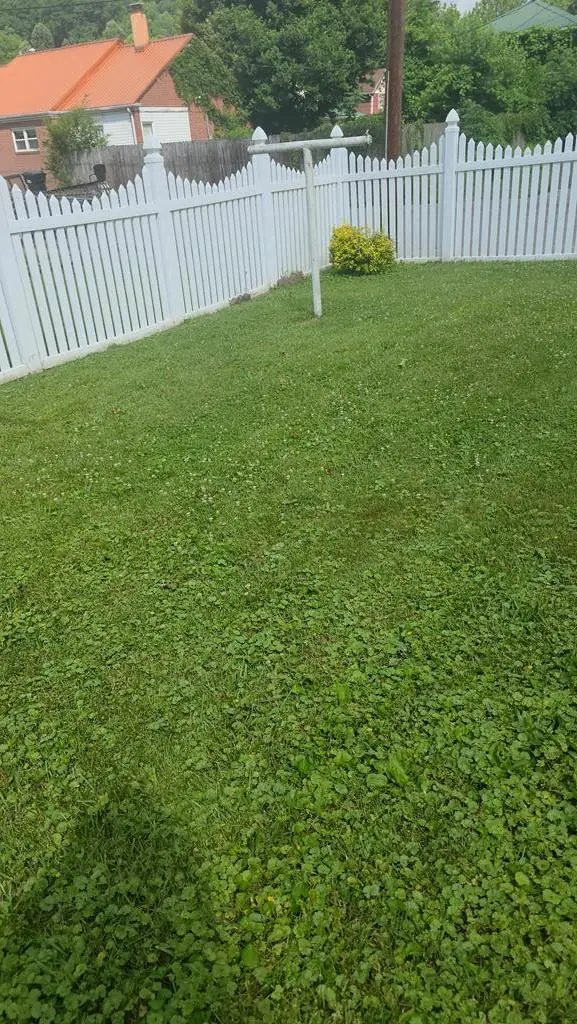 310 CORNETT ST, Appalachia, VA 24216 - #2