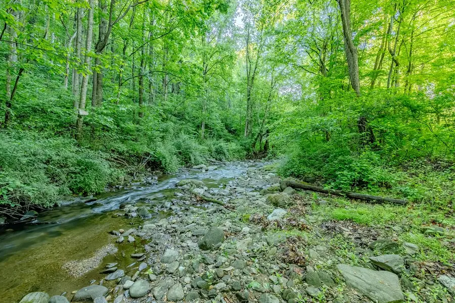 1276 Parkwood, Lambsburg, VA 24351 - #3