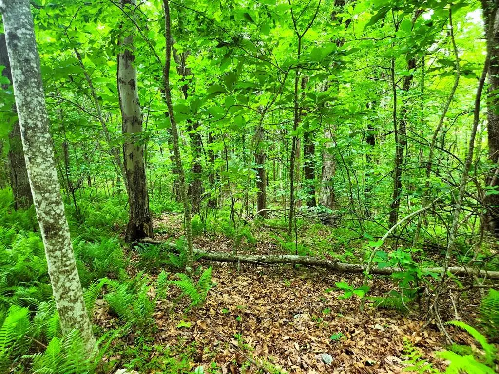 TBD Glennburn Ln, Blue Ridge, VA 24177 - #1